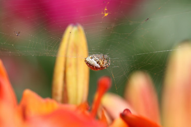 Similar image 189734