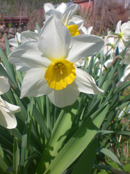 Similar image 189746