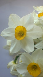 Similar image 189759