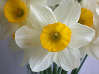 Similar image 189761