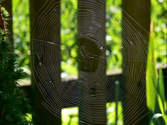 Similar image 189809