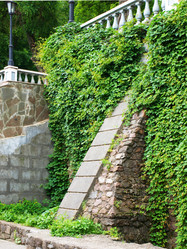 Similar image 189813