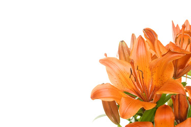 Similar image 190075