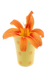 Similar image 190076