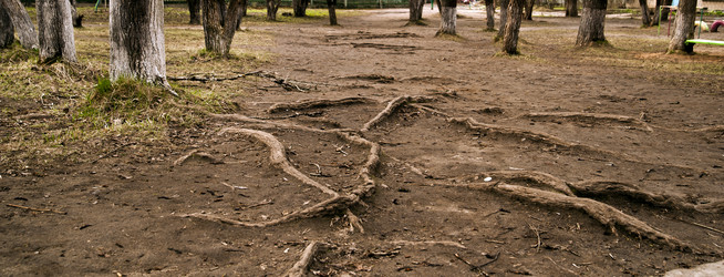 Similar image 190139