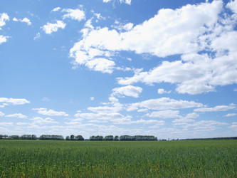 Similar image 190142