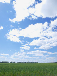 Similar image 190144