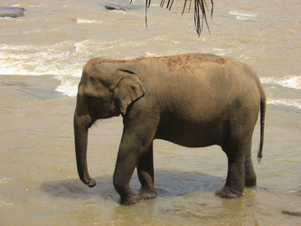 Similar image 190147