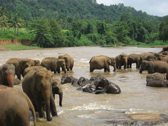 Similar image 190151