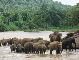 Similar image 190152