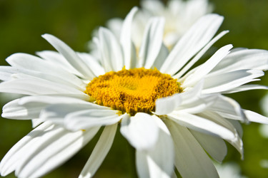 Similar image 190184