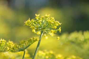 Similar image 190187