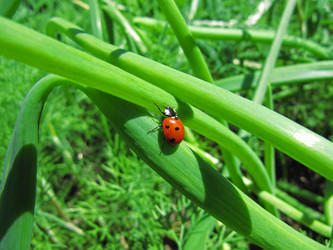 Similar image 190189