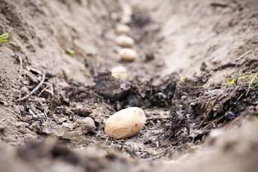 Similar image 190225