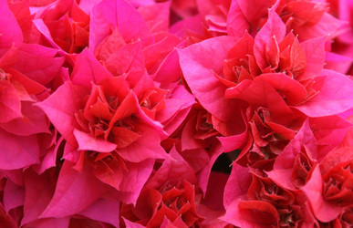 Similar image 190230