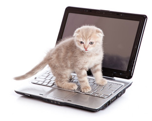 Similar image 190234