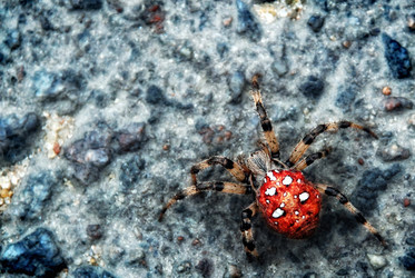 Similar image 190238