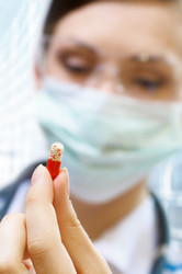 Similar image 190250