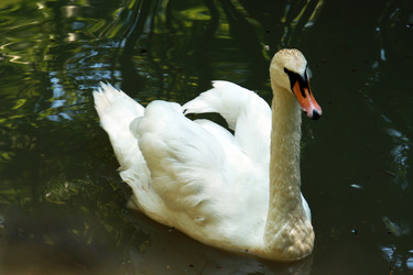 Similar image 190256