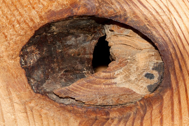 Similar image 190259