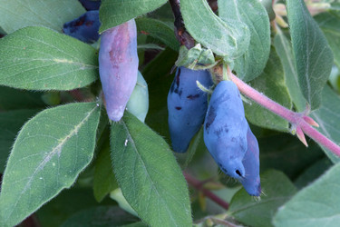 Similar image 190264