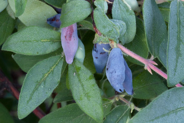 Similar image 190265