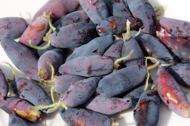 Similar image 190266