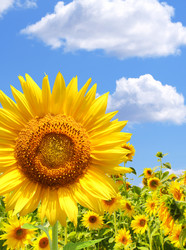 Similar image 190340