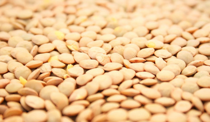 Similar image 190384