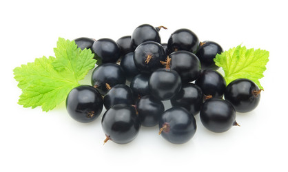 Similar image 190403