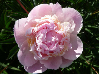 Similar image 190406