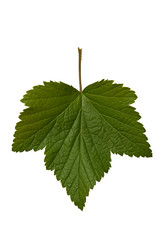 Similar image 190409