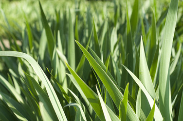 Similar image 190417