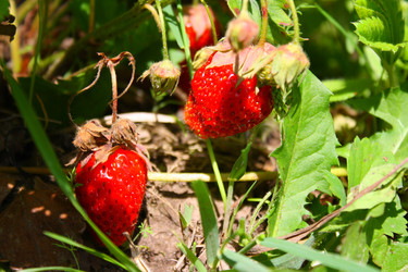 Similar image 190604