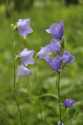 Similar image 190611