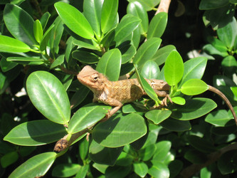 Similar image 190613