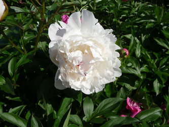 Similar image 190629