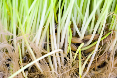 Similar image 190631