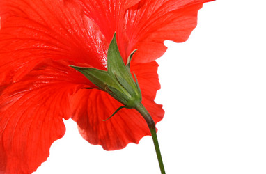 Similar image 190635