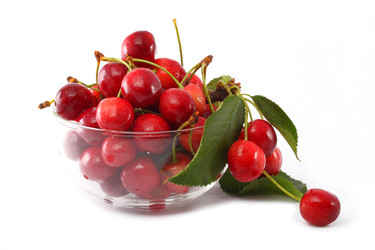 Similar image 190643