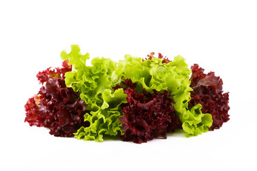 Similar image 190645