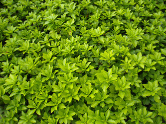 Similar image 190705