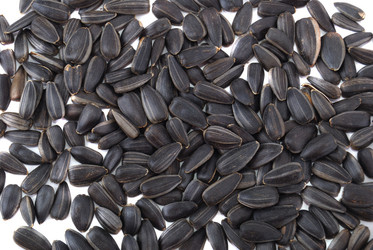 Similar image 190721