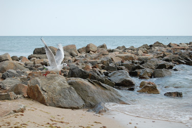 Similar image 190740