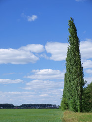 Similar image 190741