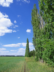 Similar image 190742