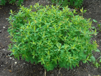 Similar image 190770