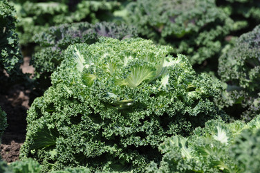 Similar image 190772