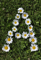 Similar image 190784