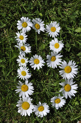 Similar image 190785